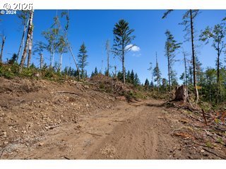 Northeast Berry Road Battle Ground, WA 98604 - Photo 6 of 17