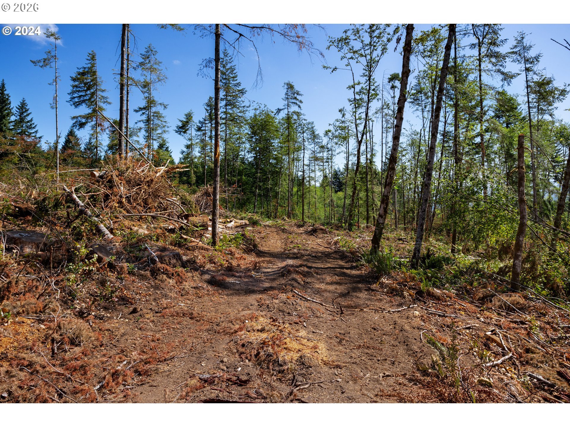 Northeast Berry Road Battle Ground, WA 98604 - Photo 7 of 17