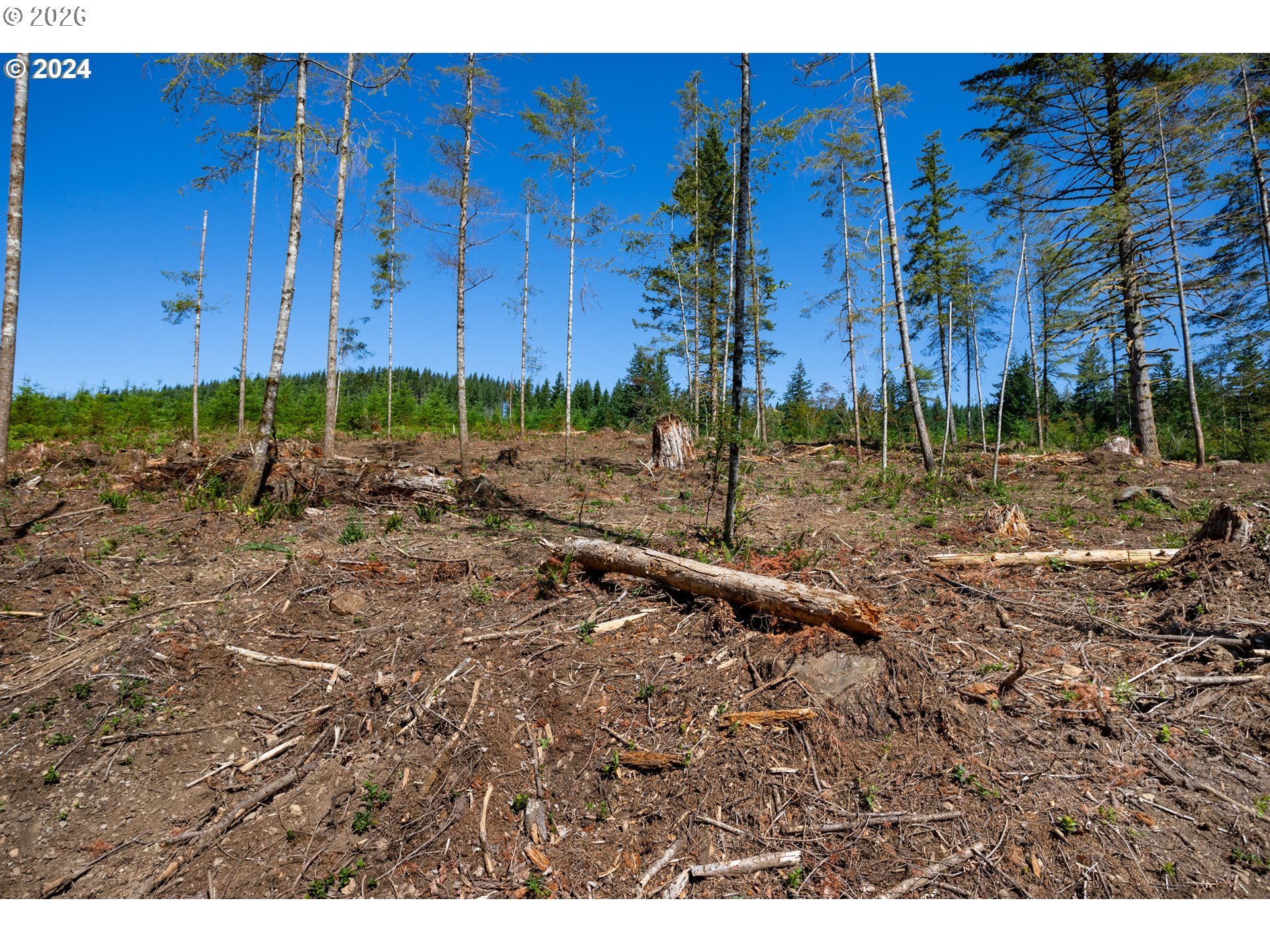 Northeast Berry Road Battle Ground, WA 98604 - Photo 8 of 17