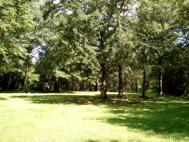 6309 Adams Road Macclenny, FL 32063 - Photo 11 of 14 property