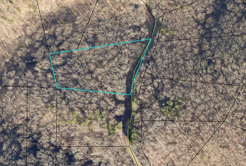 197 Stirratt Road Ranger, GA 30734 - Photo 2 of 24 Gallery Image 2