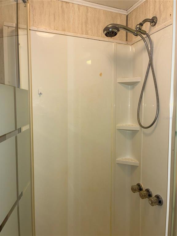 24533 Pink Panther Road Paisley, FL 32767 - Photo 15 of 29 a bathroom with a shower