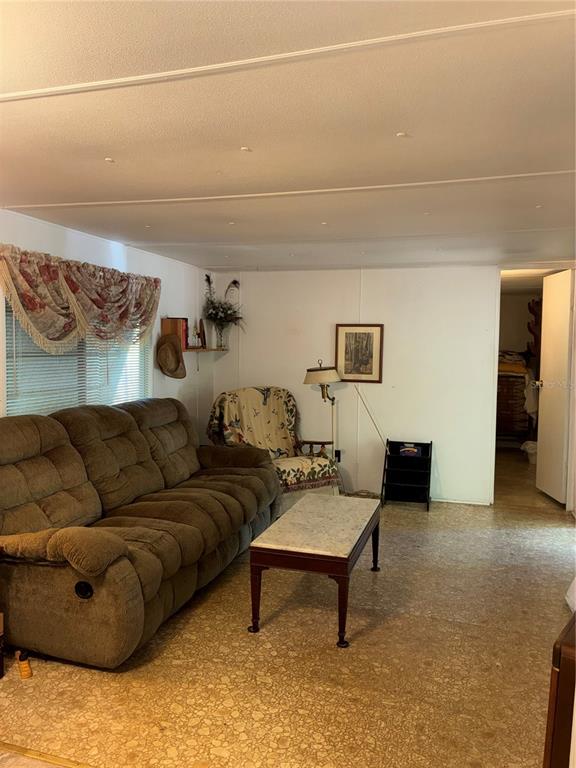 24533 Pink Panther Road Paisley, FL 32767 - Photo 18 of 29 a living room with furniture and a rug