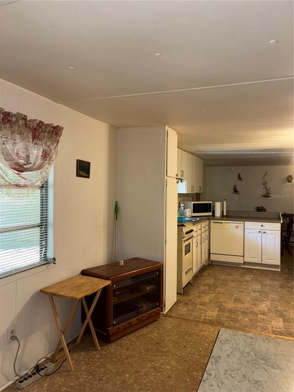 24533 Pink Panther Road Paisley, FL 32767 - Photo 19 of 29 a kitchen with a cabinets and white appliances