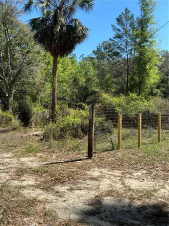 $115,000 | 24533 Pink Panther Road, Paisley, FL 32767