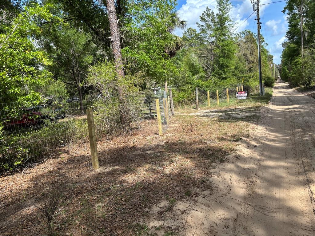 24533 Pink Panther Road Paisley, FL 32767 - Photo 3 of 29