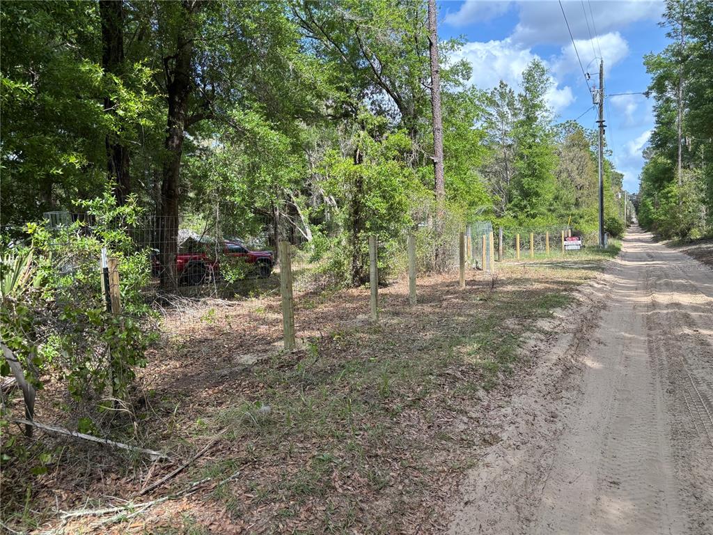 24533 Pink Panther Road Paisley, FL 32767 - Photo 4 of 29