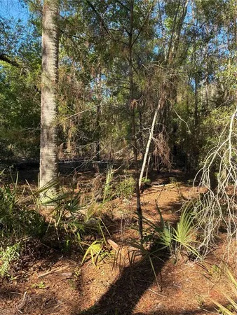 a view of an outdoor space