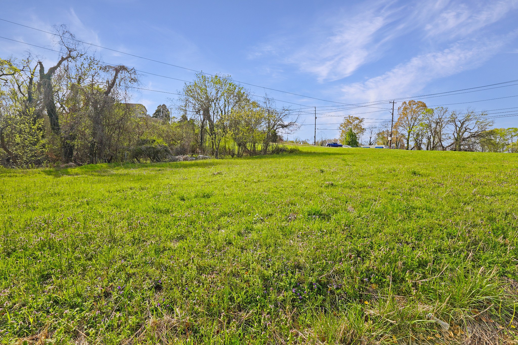 1 Church Street Dover, TN 37058 - Photo 6 of 11 a view of a field with an trees