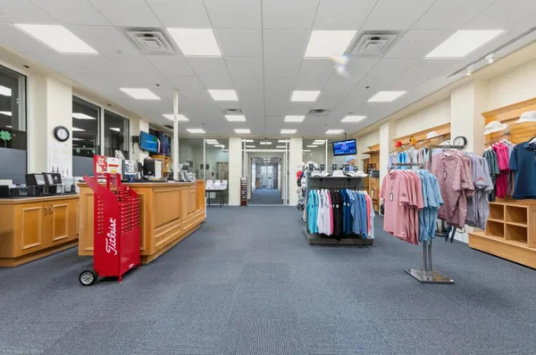 a view of a lake with a palm tree next to a yard