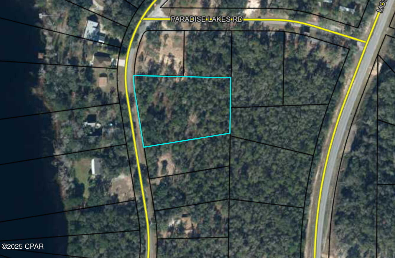 Tbd Paradise Lakes Road Chipley, FL 32428 - Photo 3 of 3