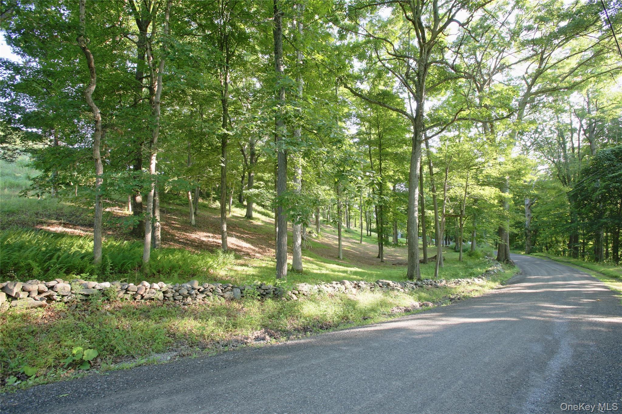 Pond Road Rhinebeck, NY 12572 - Photo 11 of 17 Gallery Image 11