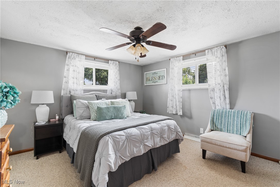 4606 9th Street Northwest Canton, OH 44708 - Photo 14 of 35 Carpeted bedroom with multiple windows, a textured ceiling, and ceiling fan