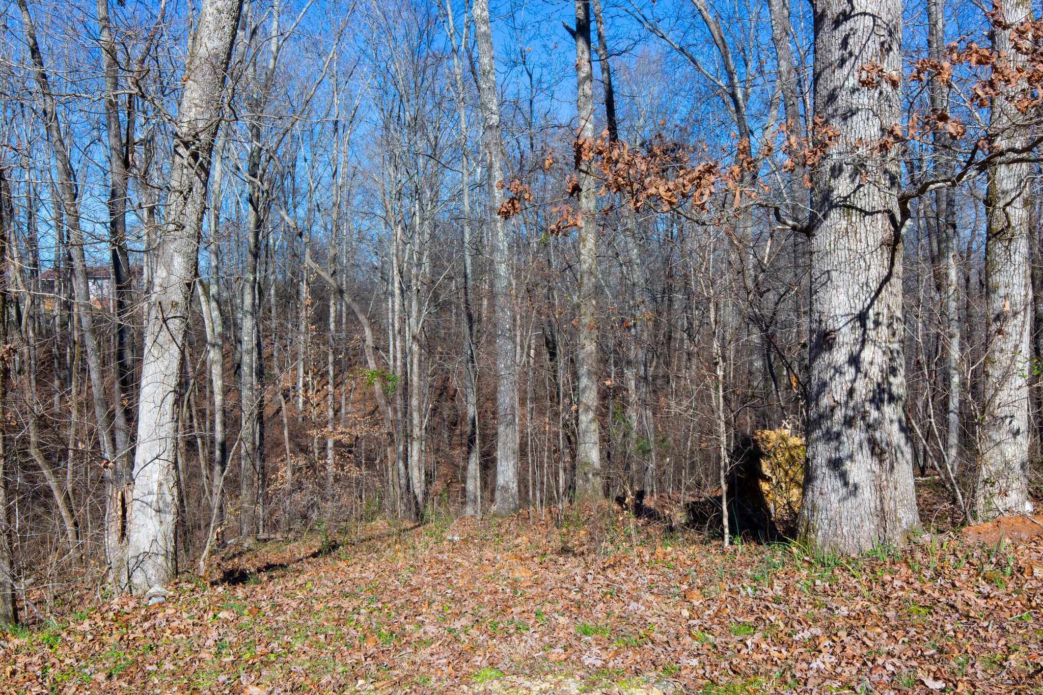 2446 Hidden Valley Road Nunnelly, TN 37137 - Photo 27 of 27 Gallery Image 27