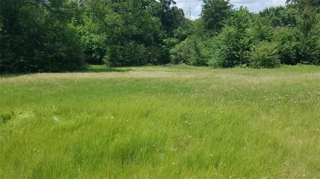 a view of a field with a trees