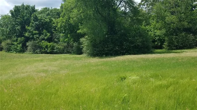 a view of field with trees in background