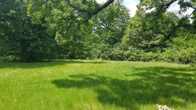 a view of yard with green space
