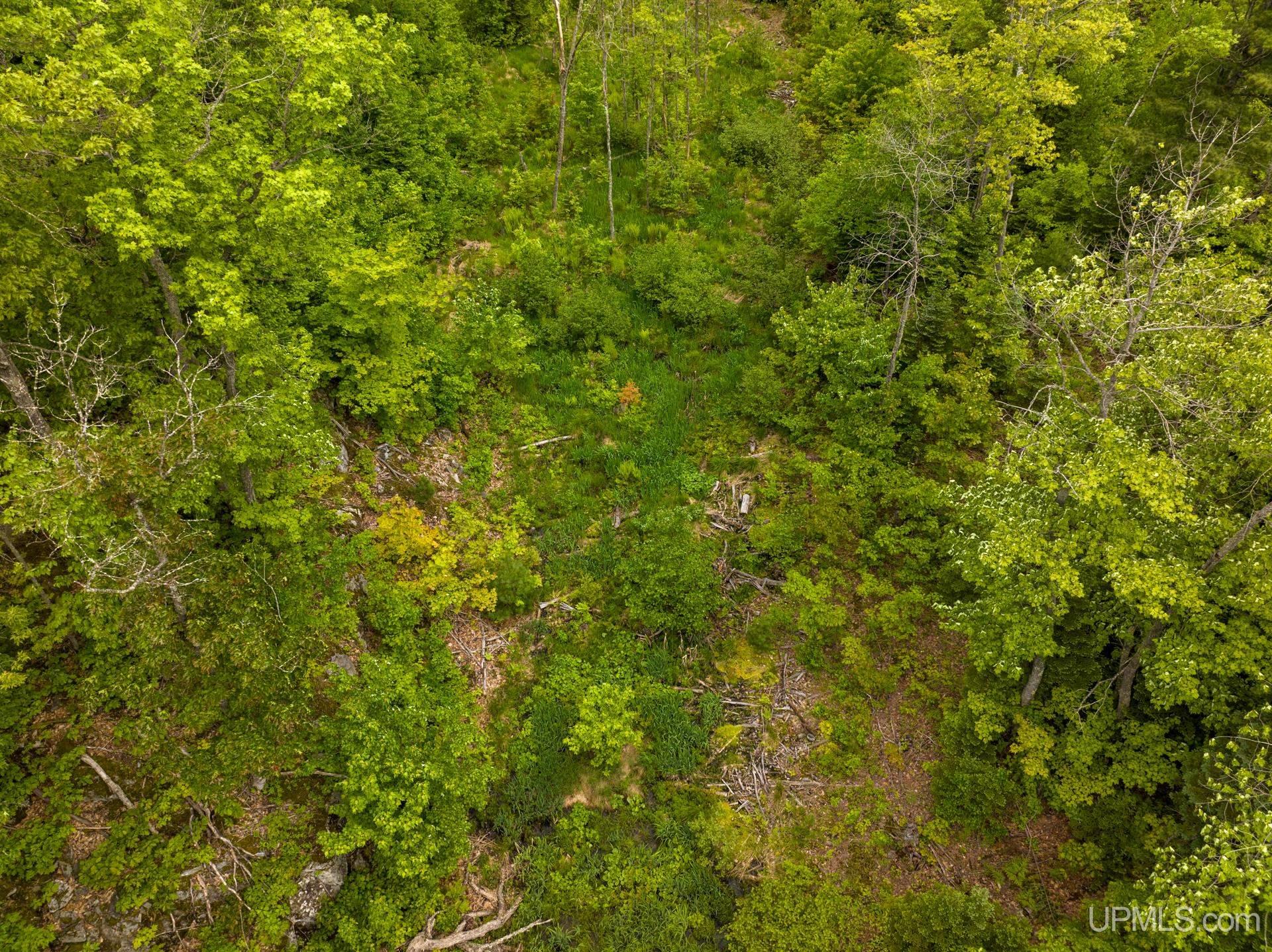 Tbd Tbd Co Road Negaunee, MI 49866 - Photo 22 of 47