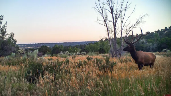 $3,000,000 | 43930 Highway 160, Mancos, CO 81328
