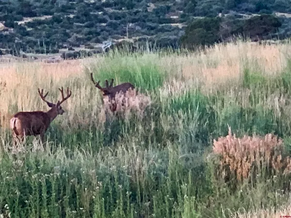 $3,000,000 | 43930 Highway 160, Mancos, CO 81328