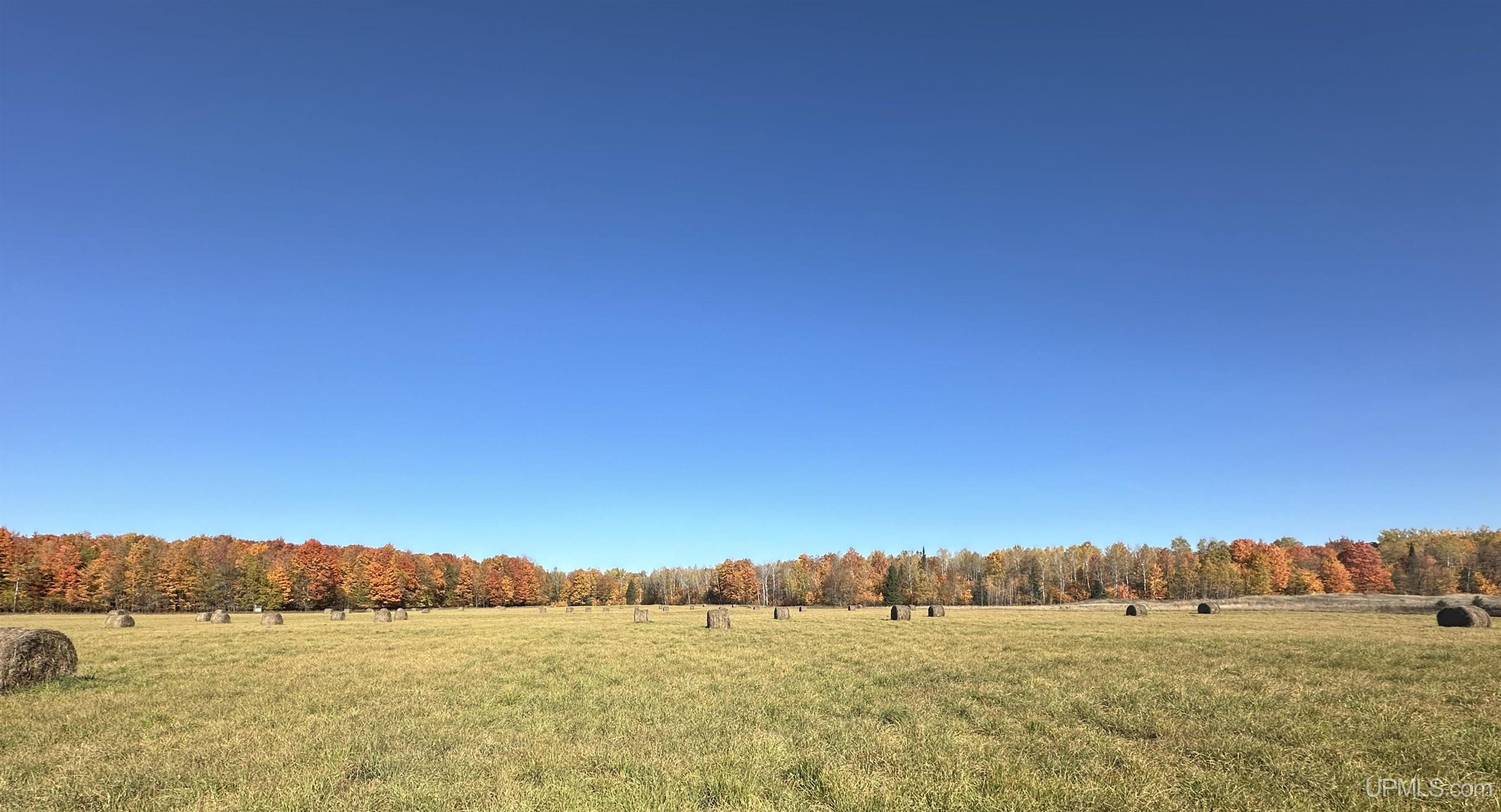 Tbd Tbd Tyner Road Chatham, MI 49816 - Photo 6 of 17