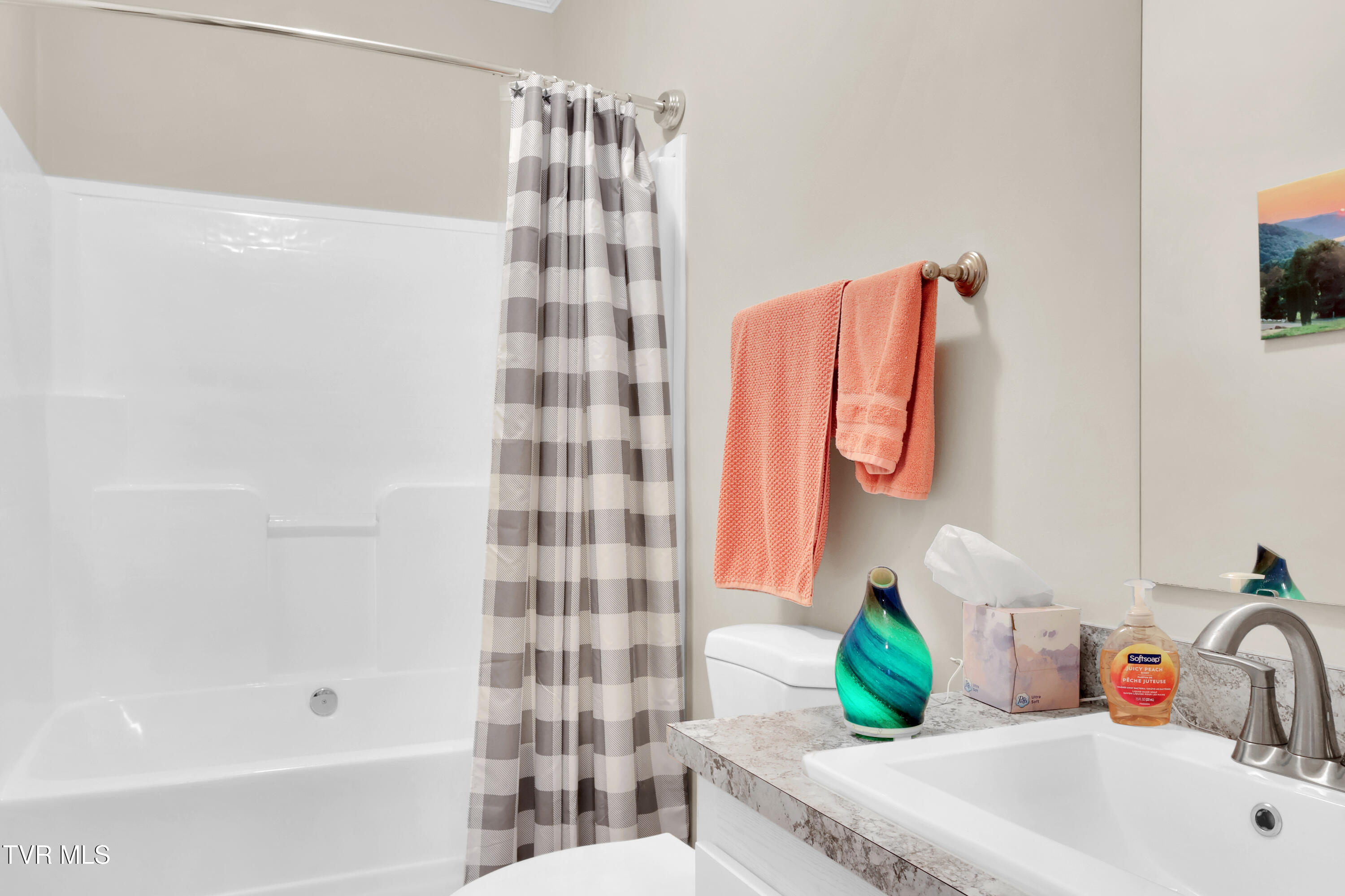 1120 Myrtle Drive Butler, TN 37640 - Photo 20 of 44 IMG_3816