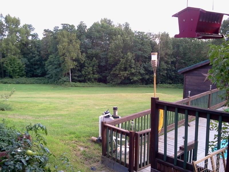 114 Donigan Road Moscow, ME 04920 - Photo 4 of 27 View of private back yard from patio