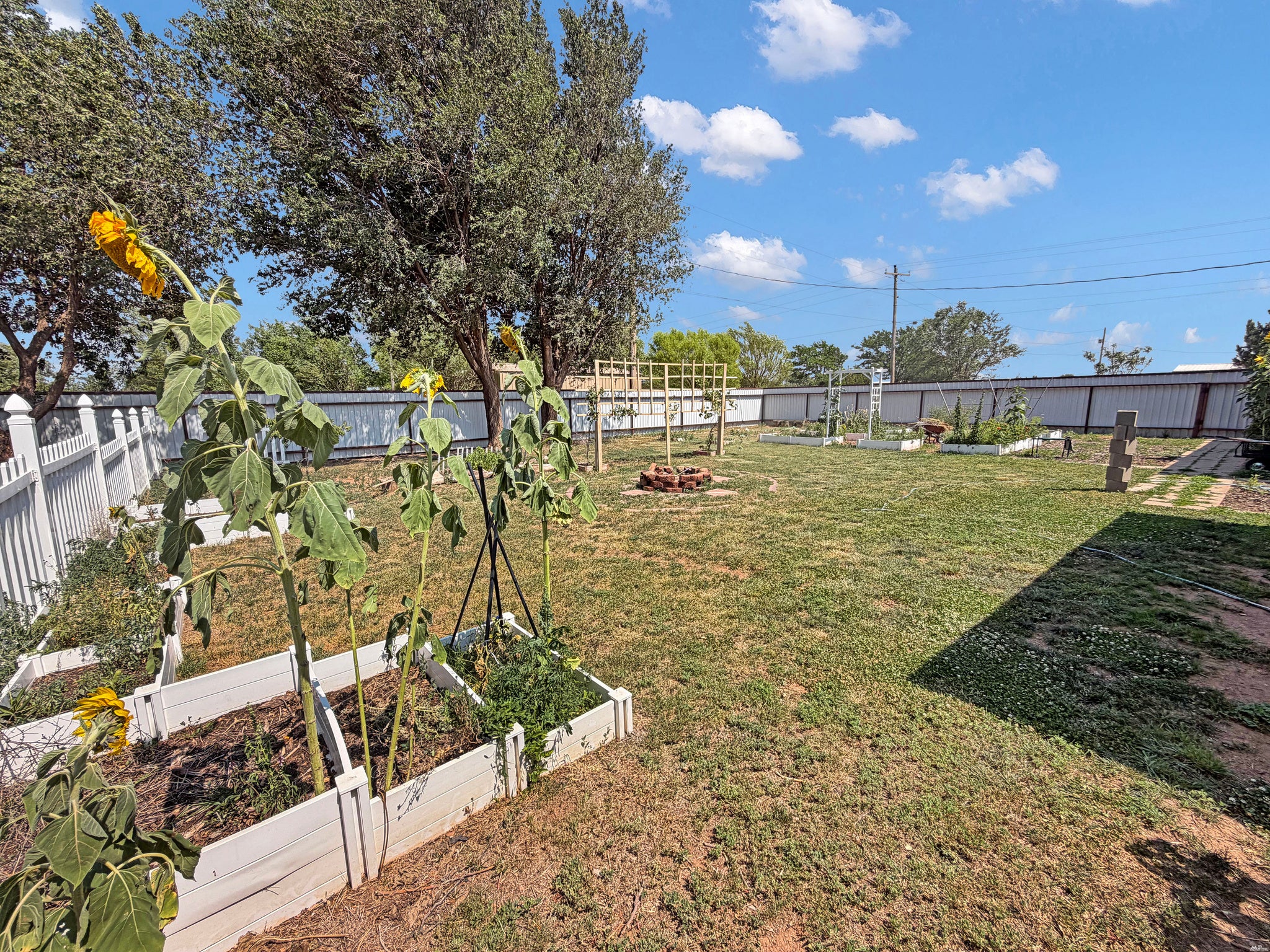 24 Rope Road Clovis, NM 88101 - Photo 34 of 42 Gallery Image 34