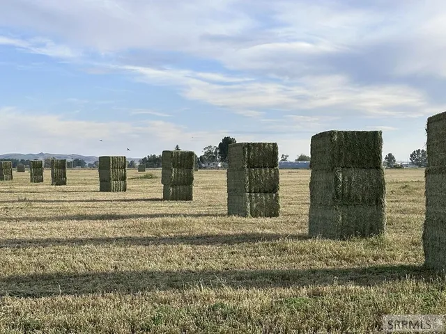 $2,950,000 | 458 Highway 91, Firth, ID 83236