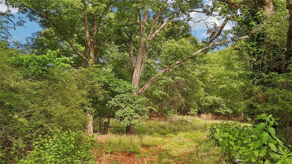 955 Highway 82 Jefferson, GA 30549 - Photo 11 of 28 a view of a lake view