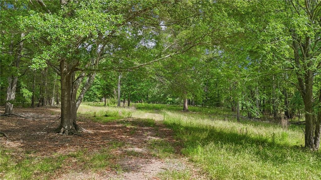 955 Highway 82 Jefferson, GA 30549 - Photo 13 of 28 a view of a green field with a tree