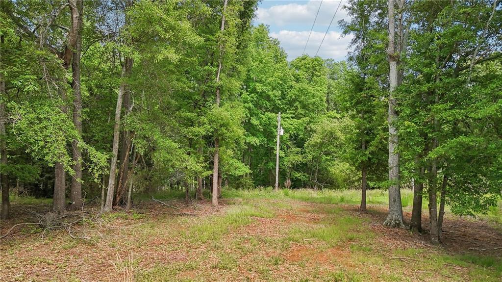 955 Highway 82 Jefferson, GA 30549 - Photo 15 of 28 a view of backyard with green space