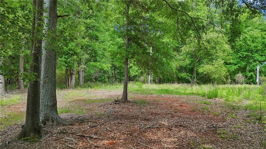 955 Highway 82 Jefferson, GA 30549 - Photo 17 of 28 a view of a forest that has large trees