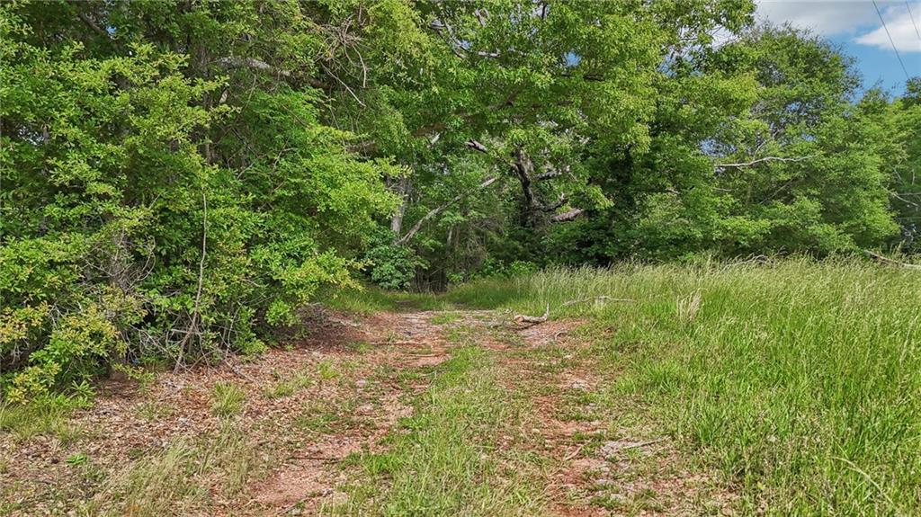 955 Highway 82 Jefferson, GA 30549 - Photo 5 of 28 a view of a field with a tree