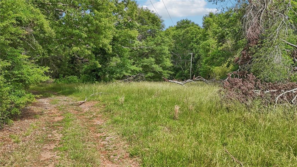 955 Highway 82 Jefferson, GA 30549 - Photo 9 of 28 a view of a lush green space