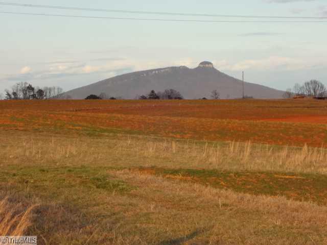 2 Limerock Road Boonville, NC 27011 - Photo 1 of 10 Land. Beautiful 46 +/- acres with Fabulous View of Pilot Mountain, 1200 of road frontage