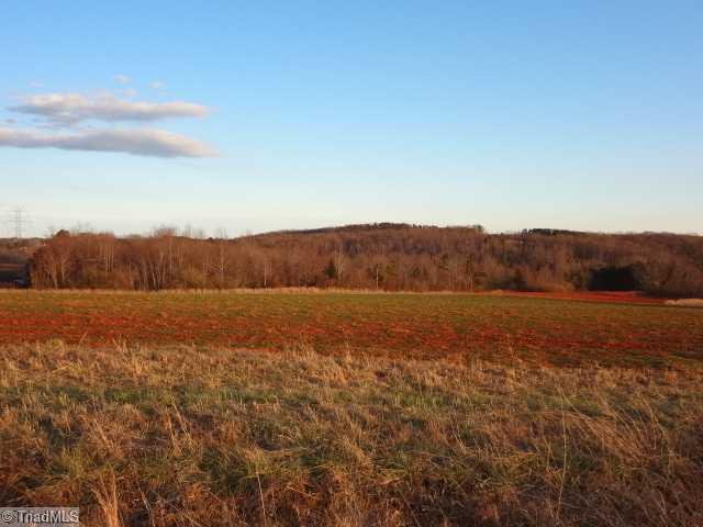 2 Limerock Road Boonville, NC 27011 - Photo 3 of 10 Land.