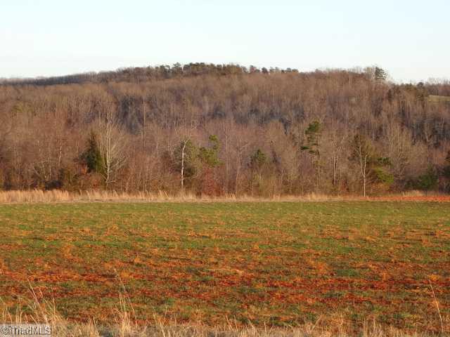 2 Limerock Road Boonville, NC 27011 - Photo 4 of 10 Land. Hardwoods, pond and streams on the property