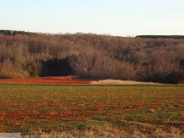2 Limerock Road Boonville, NC 27011 - Photo 5 of 10 Land. 30 acres +/- tillable land