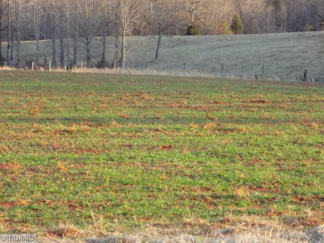 2 Limerock Road Boonville, NC 27011 - Photo 7 of 10 Land.