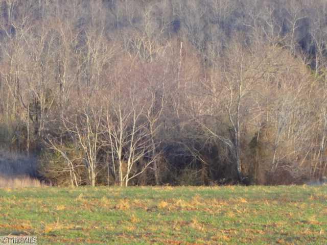 2 Limerock Road Boonville, NC 27011 - Photo 8 of 10 Land.