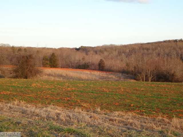 2 Limerock Road Boonville, NC 27011 - Photo 10 of 10 Land.