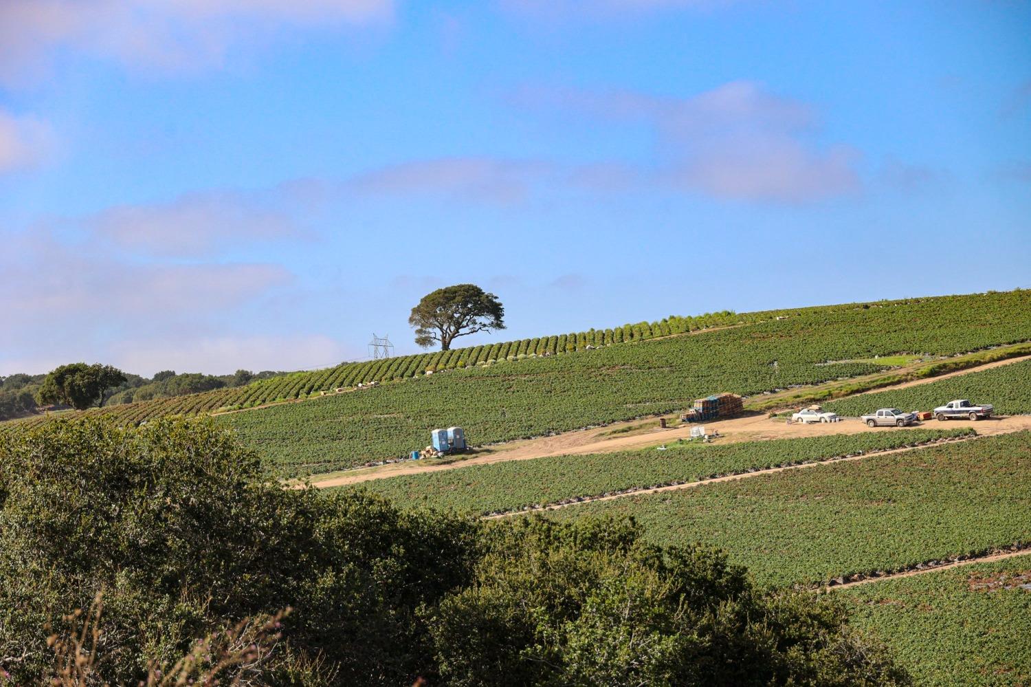 0 San Juan Grade Road Salinas, CA 93906 - Photo 18 of 24 a view of a field with an ocean view