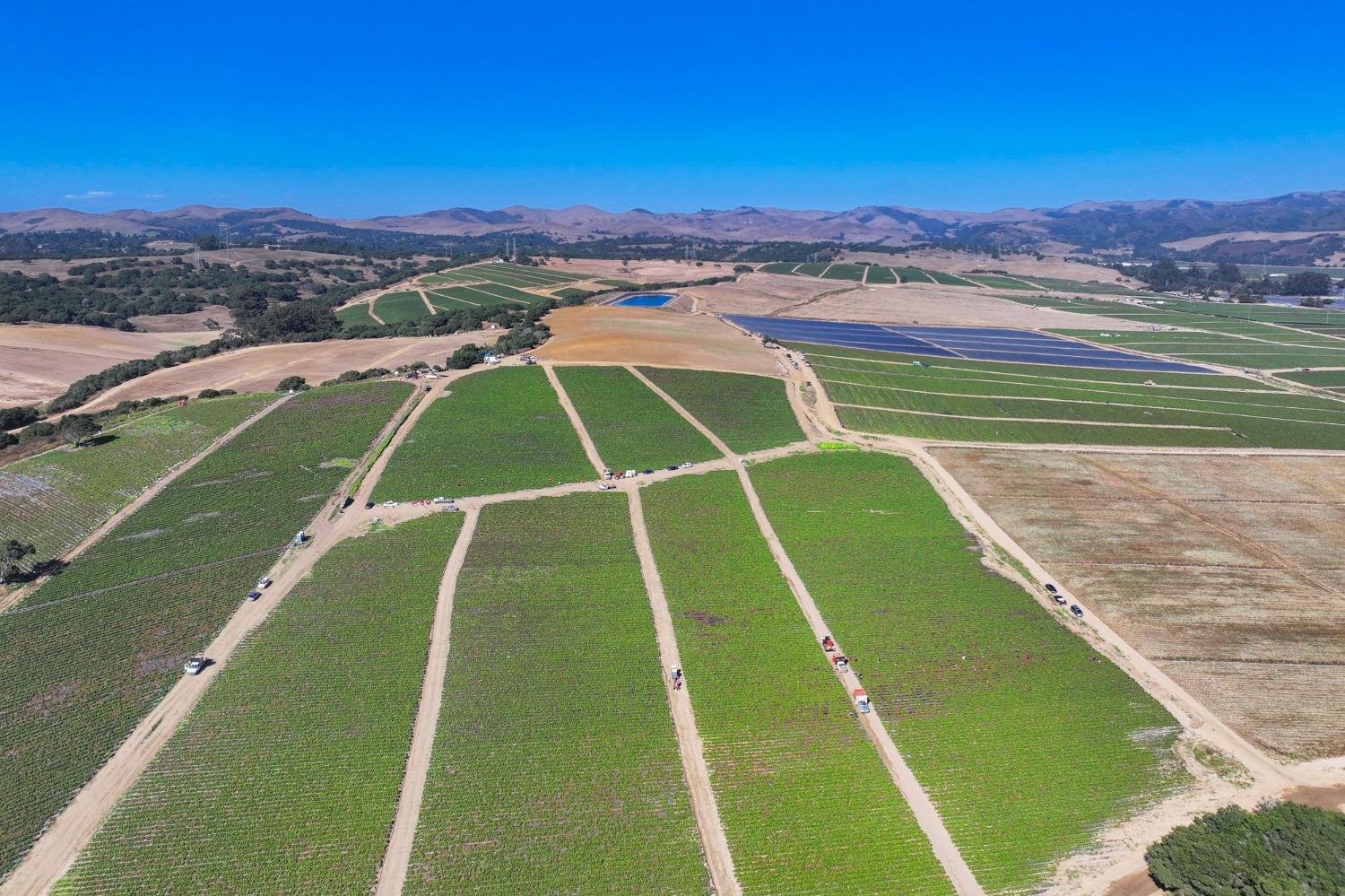 0 San Juan Grade Road Salinas, CA 93906 - Photo 19 of 24 a view of a tennis court
