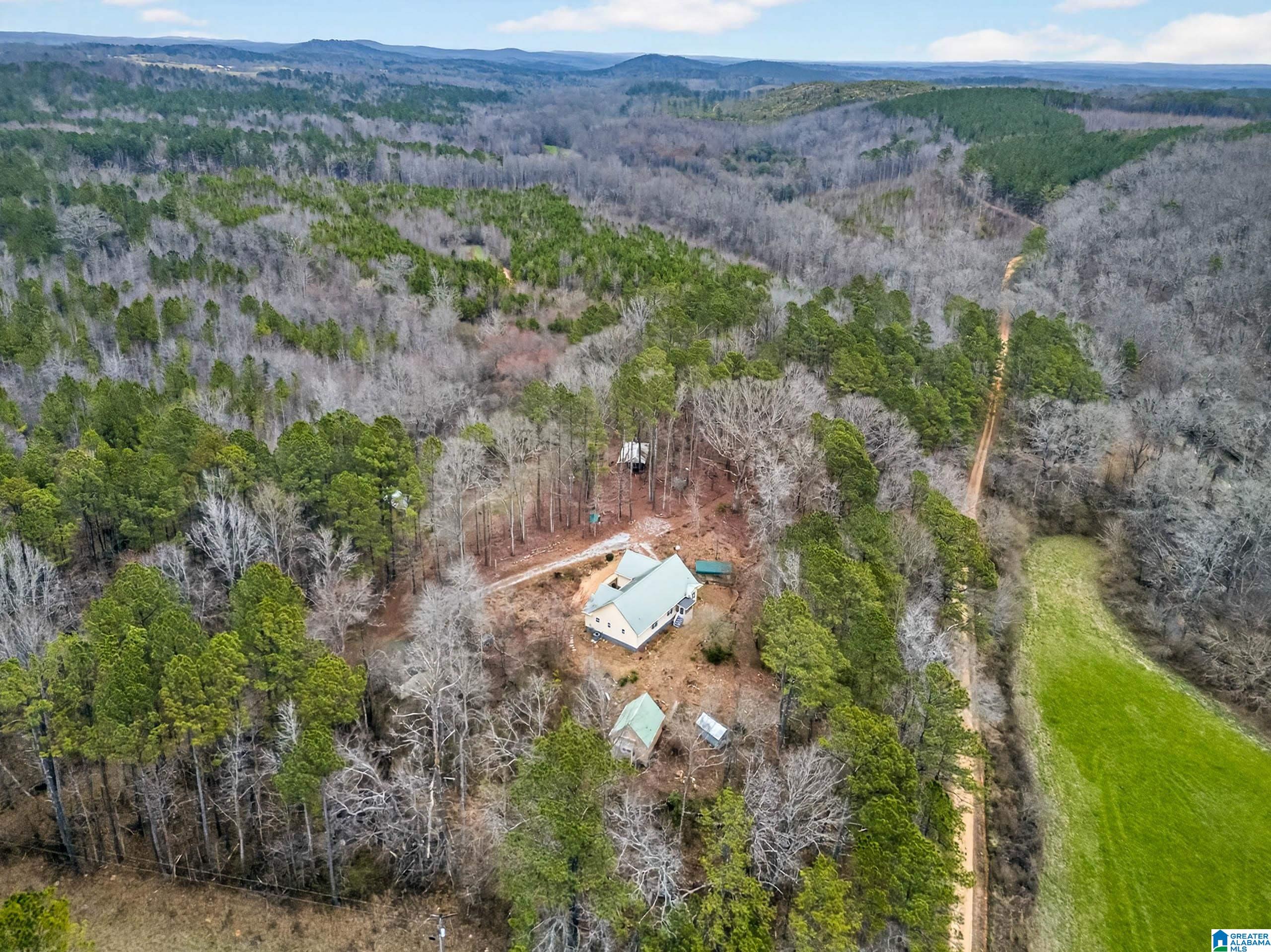 1285 White Oak Road Ashland, AL 36251 - Photo 66 of 71