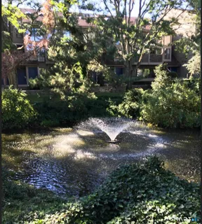 a view of outdoor space and yard