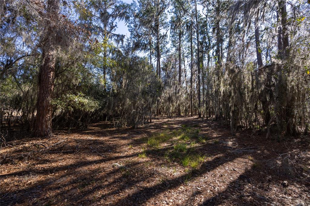 155th Way Starke, FL 32091 - Photo 10 of 29