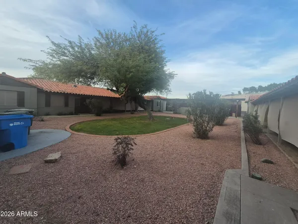 a view of a backyard with plants and trees