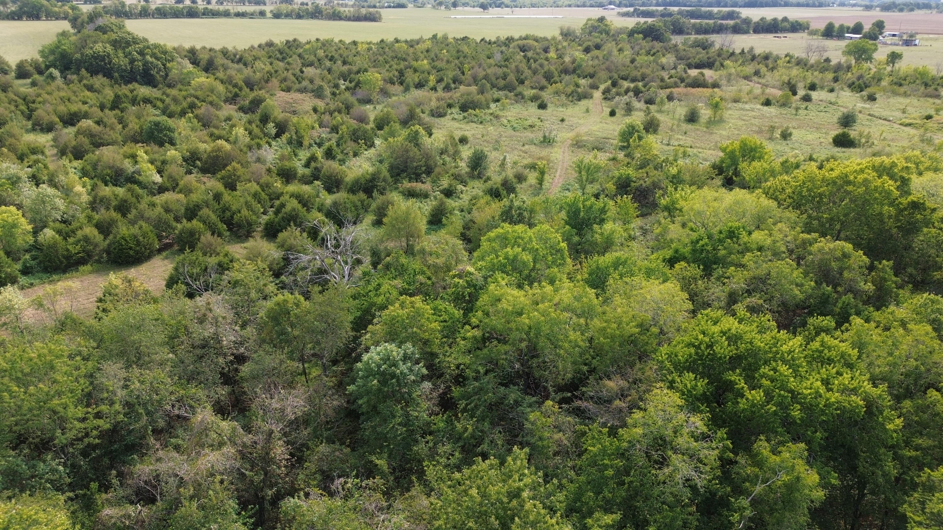 Xxx Cherry Road Granby, MO 64844 - Photo 1 of 1 DJI_0424
