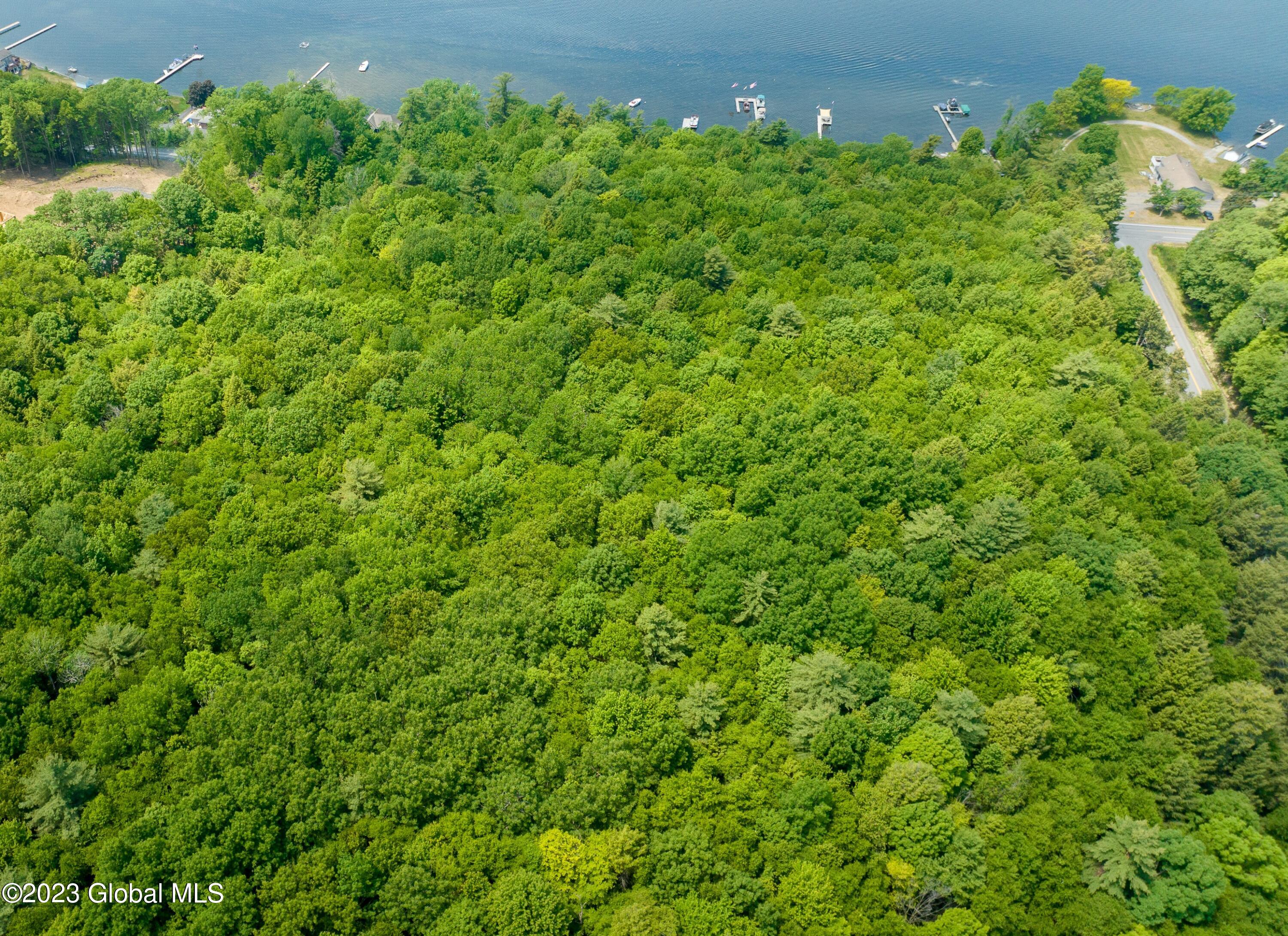 L23 Luther Road Saratoga Springs, NY 12866 - Photo 14 of 18 close up drone